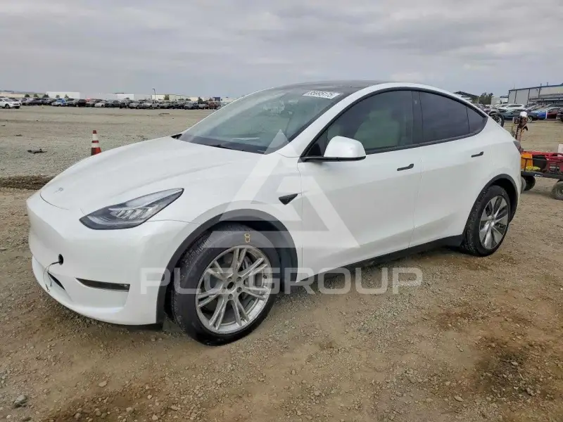 2023 Tesla Model Y фото