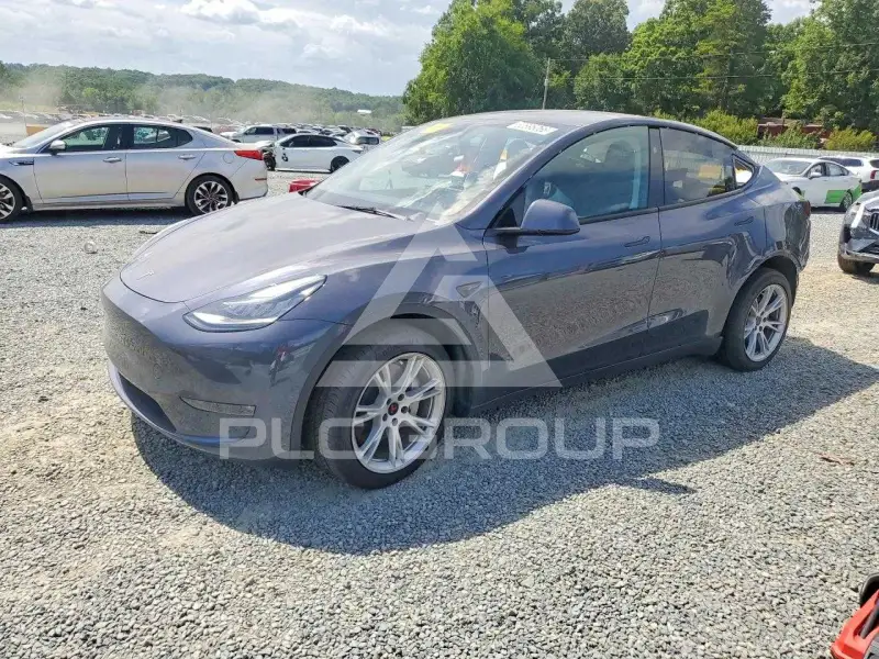 2023 Tesla Model Y фото