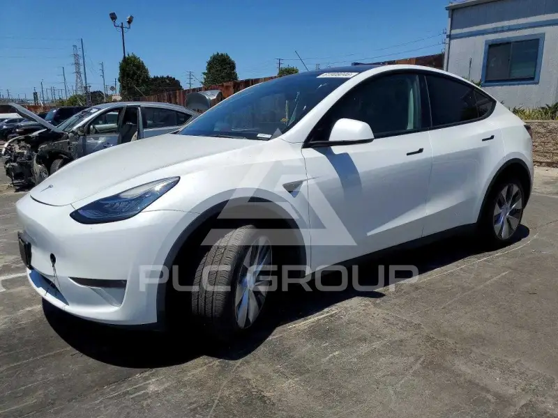 2023 Tesla Model Y фото