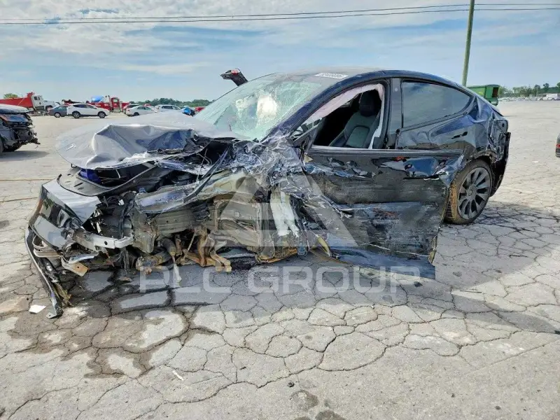 2023 Tesla Model Y photo