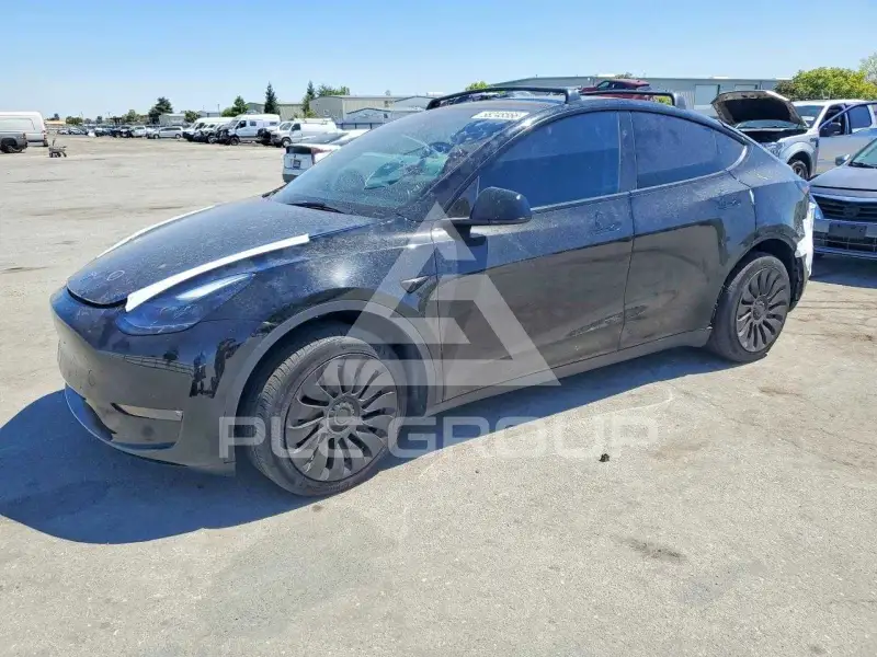 2023 Tesla Model Y photo