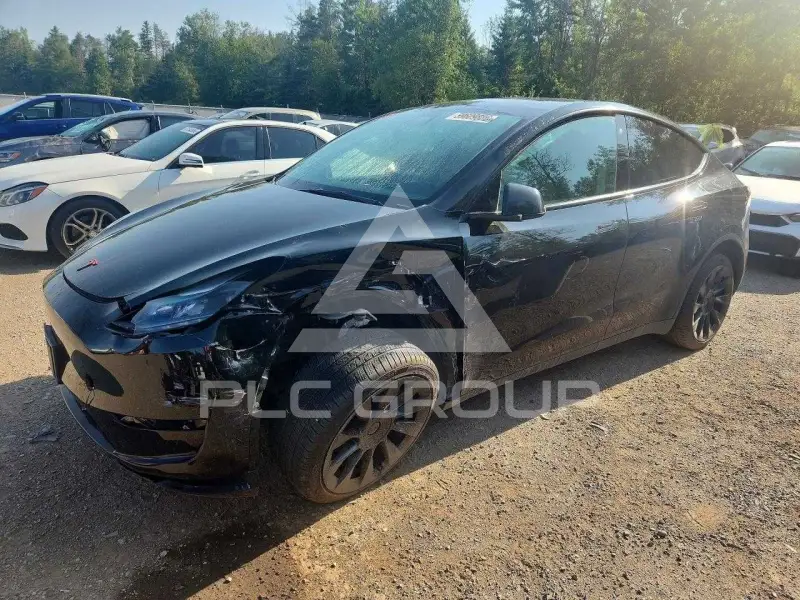 2023 Tesla Model Y фото