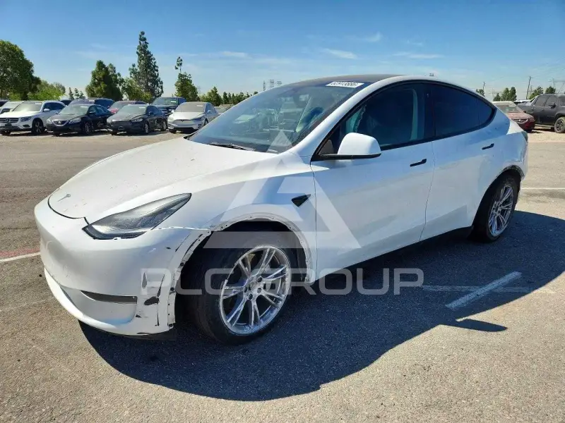 2023 Tesla Model Y photo