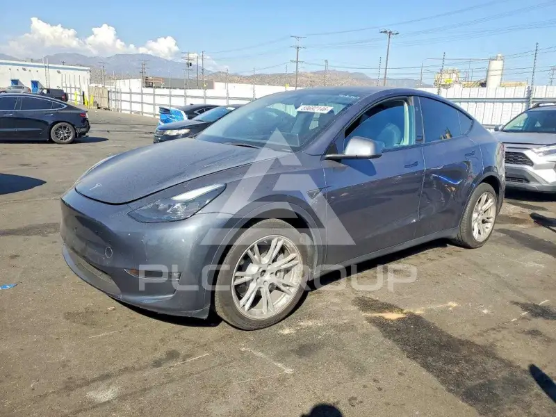 2023 Tesla Model Y фото