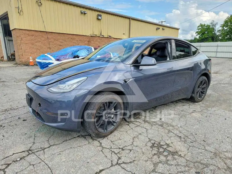 2023 Tesla Model Y photo