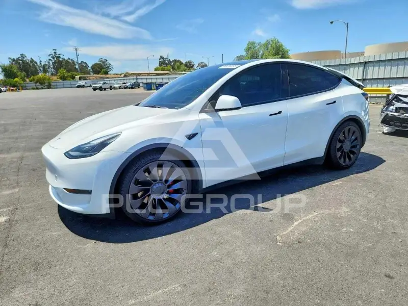 2023 Tesla Model Y фото