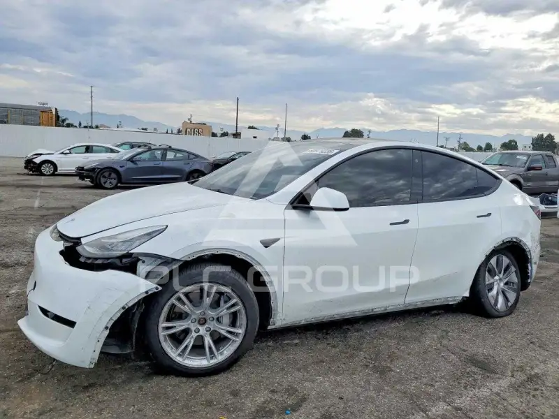 2023 Tesla Model Y фото