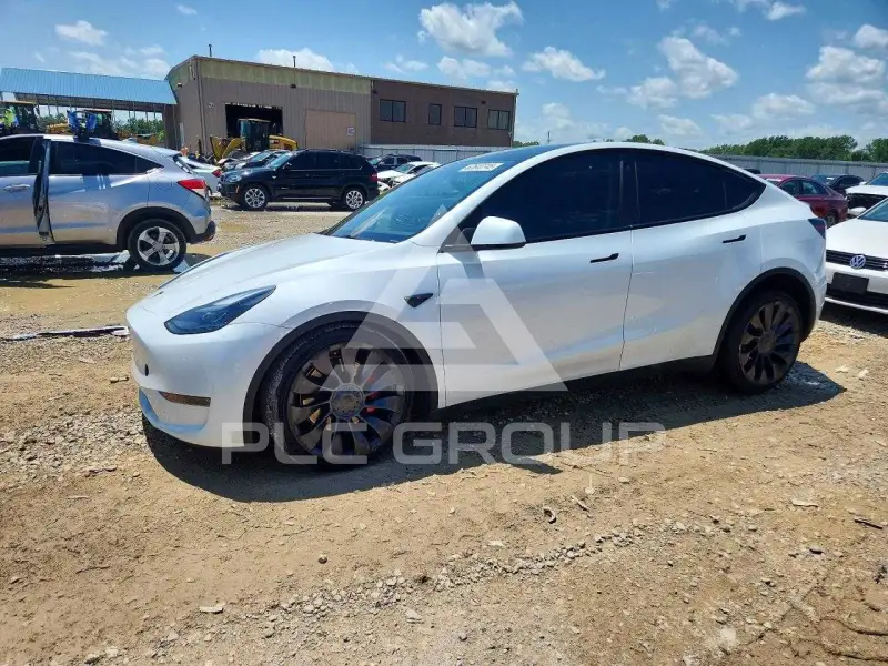 2023 Tesla Model Y photo