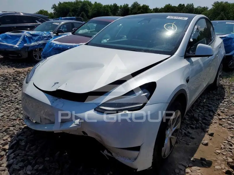 2023 Tesla Model Y photo