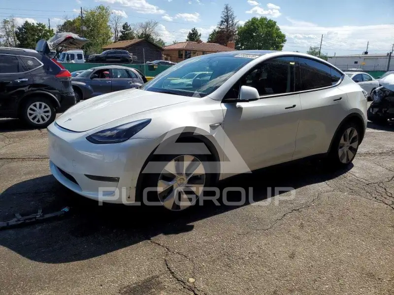 2023 Tesla Model Y photo
