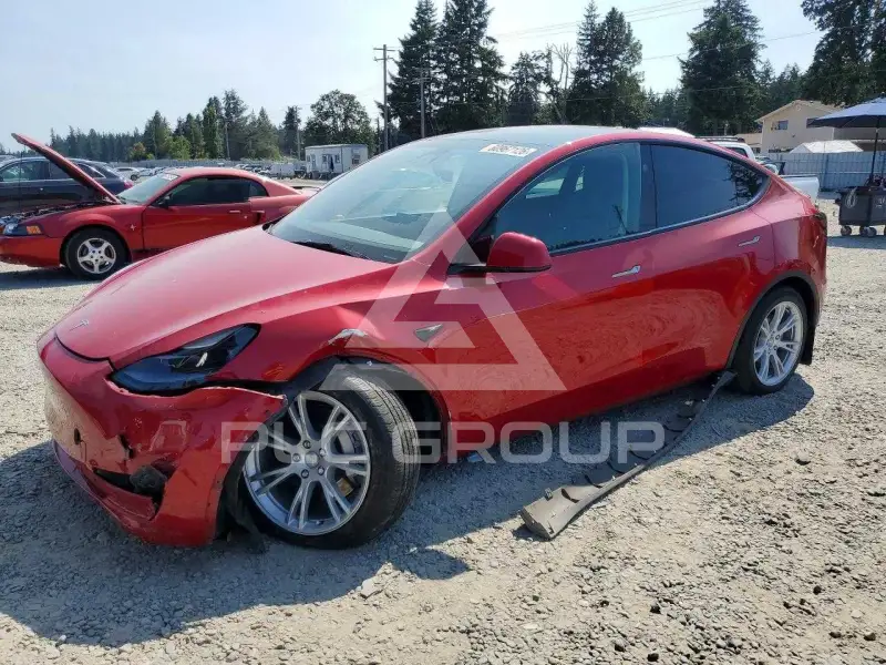 2023 Tesla Model Y фото