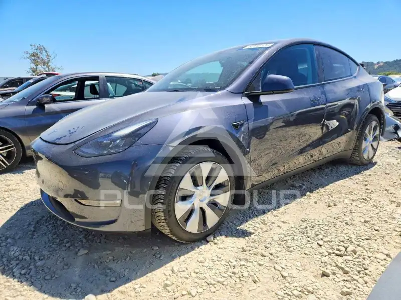 2023 Tesla Model Y фото