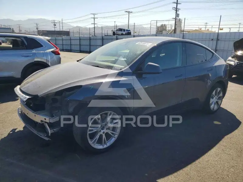 2023 Tesla Model Y photo