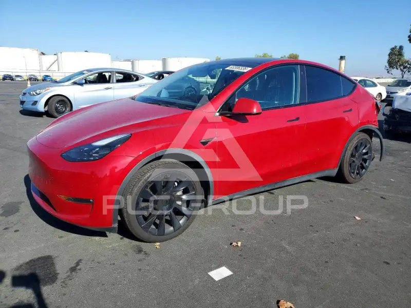 2023 Tesla Model Y photo