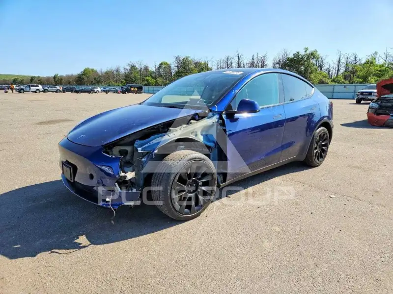 2023 Tesla Model Y фото
