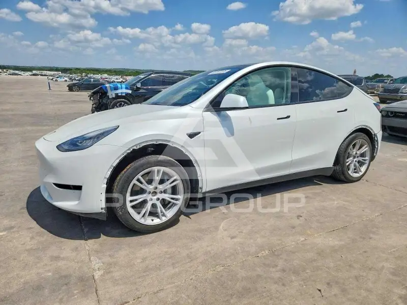 2023 Tesla Model Y photo