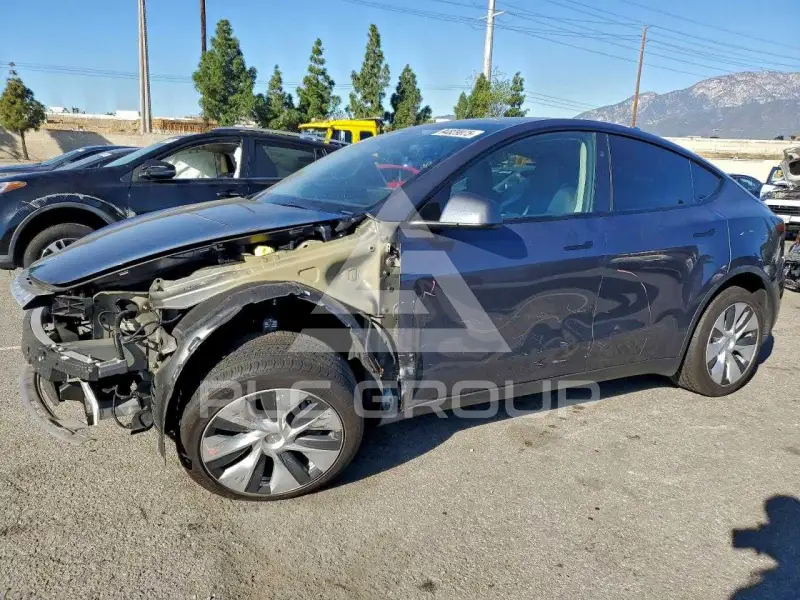 2023 Tesla Model Y photo