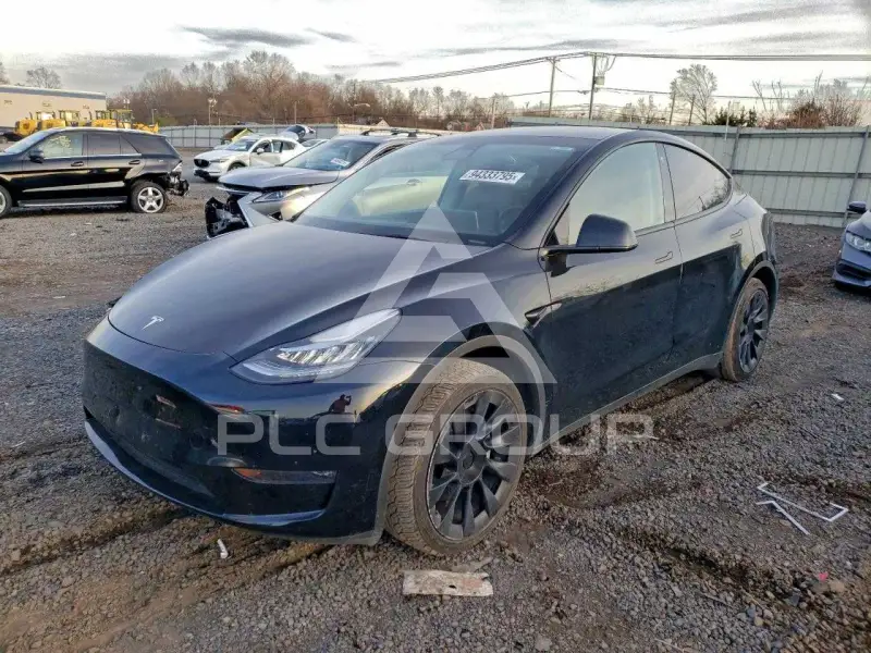 2023 Tesla Model Y фото