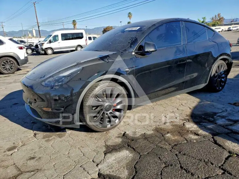 2023 Tesla Model Y фото