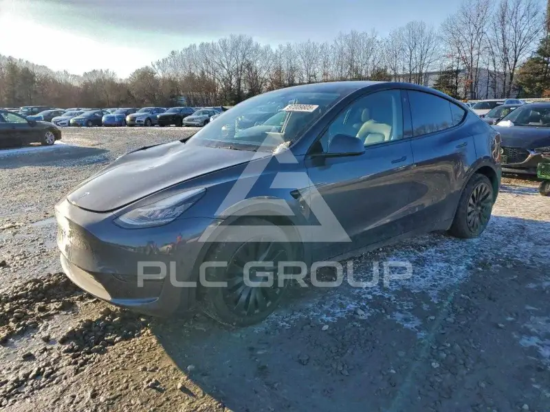 2023 Tesla Model Y фото