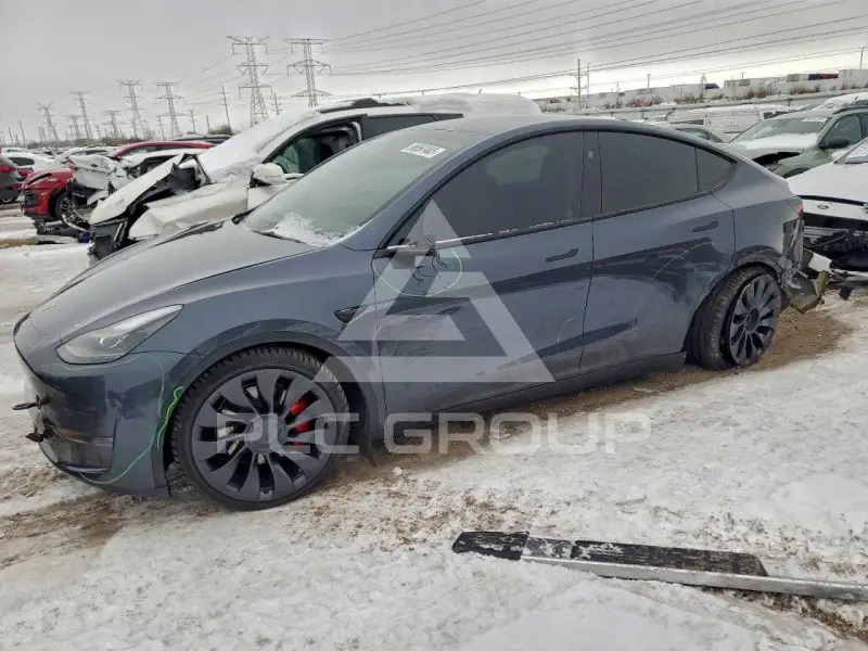 2023 Tesla Model Y photo