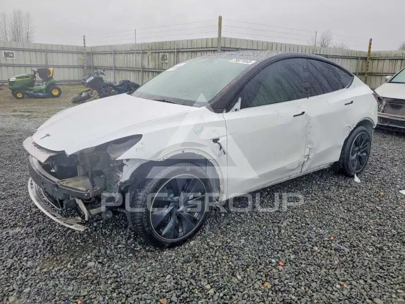 2023 Tesla Model Y фото
