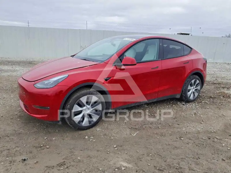 2023 Tesla Model Y photo
