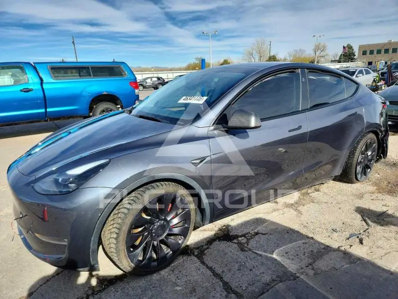 2023 Tesla Model Y фото
