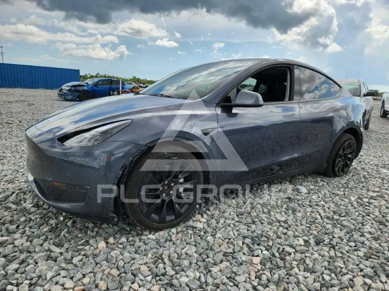 2023 Tesla Model Y фото