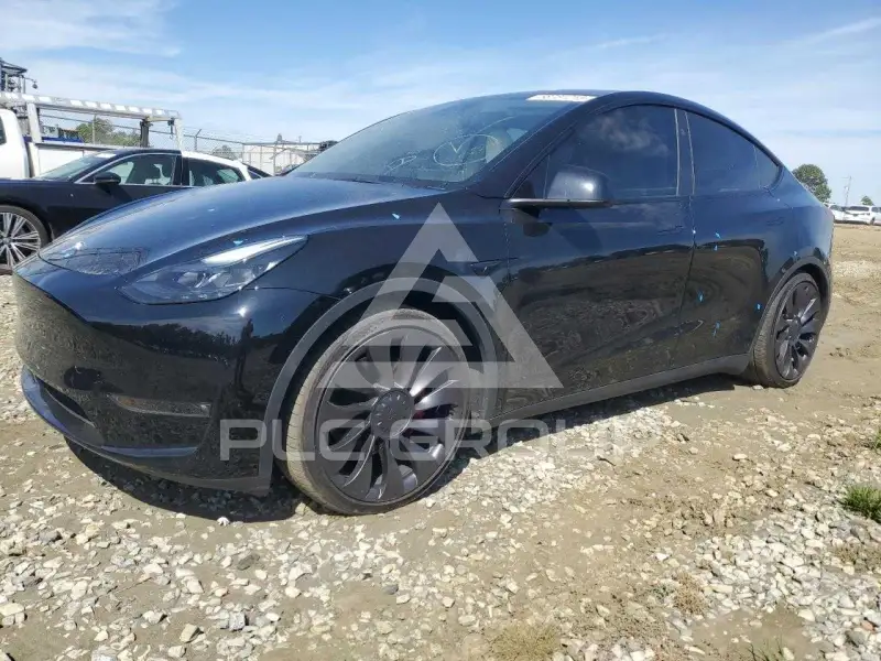 2023 Tesla Model Y фото