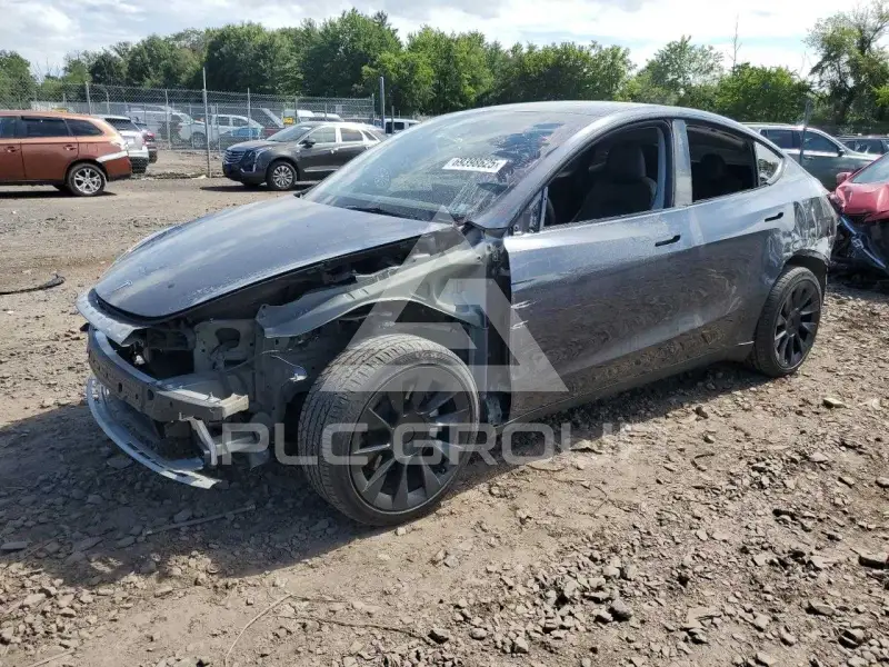 2023 Tesla Model Y photo