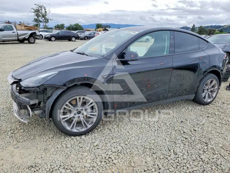 2023 Tesla Model Y фото