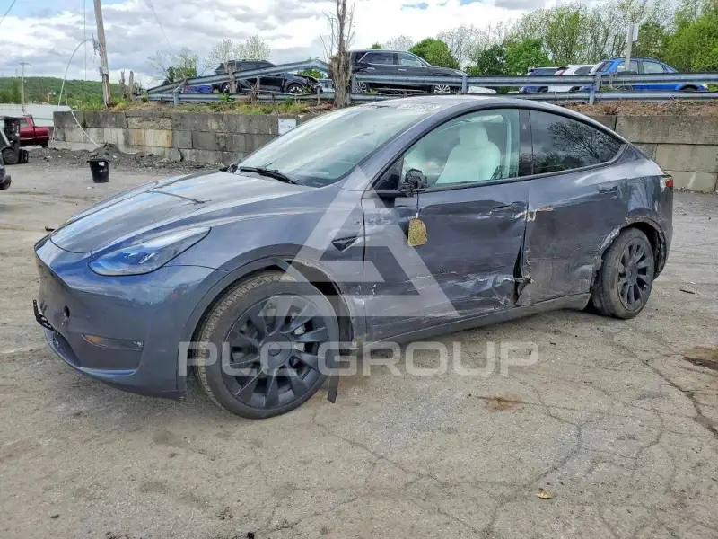 2023 Tesla Model Y фото