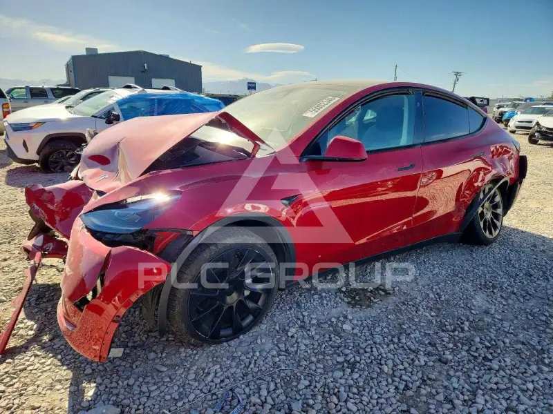 2023 Tesla Model Y фото