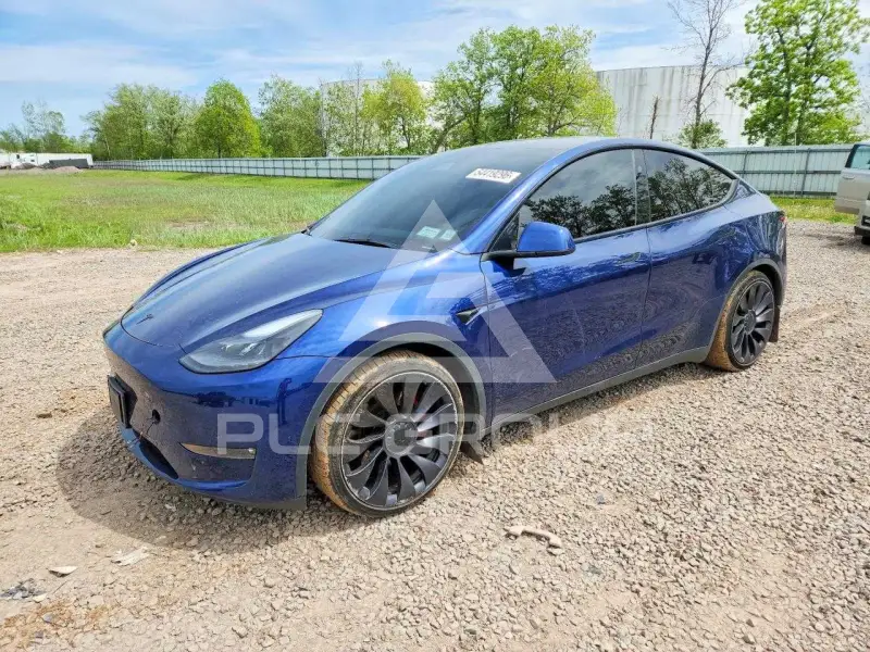 2023 Tesla Model Y фото