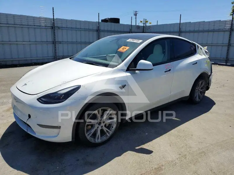 2023 Tesla Model Y фото