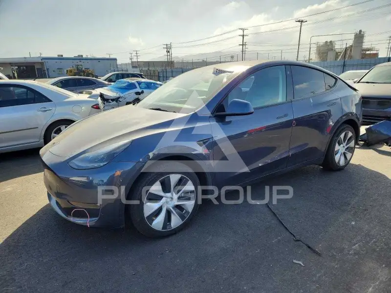 2023 Tesla Model Y фото