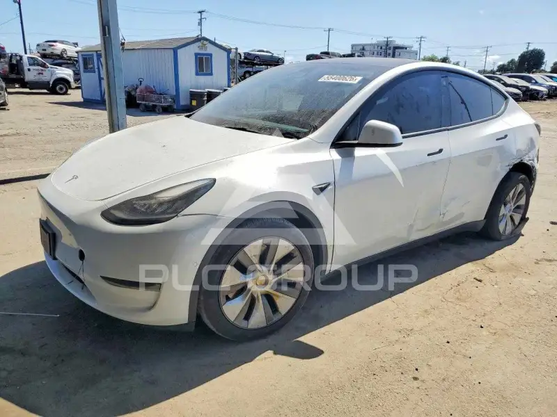 2023 Tesla Model Y photo