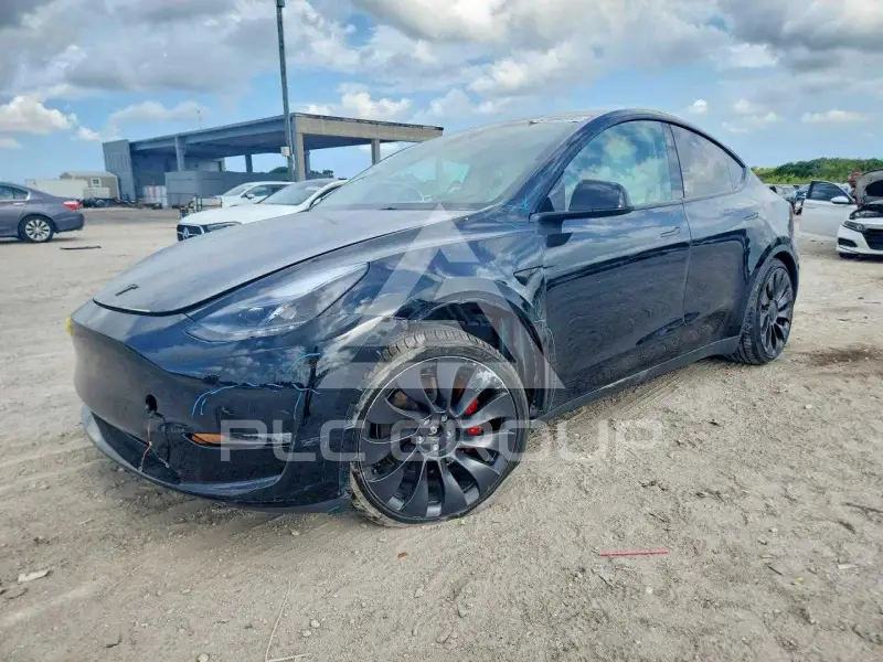 2023 Tesla Model Y фото