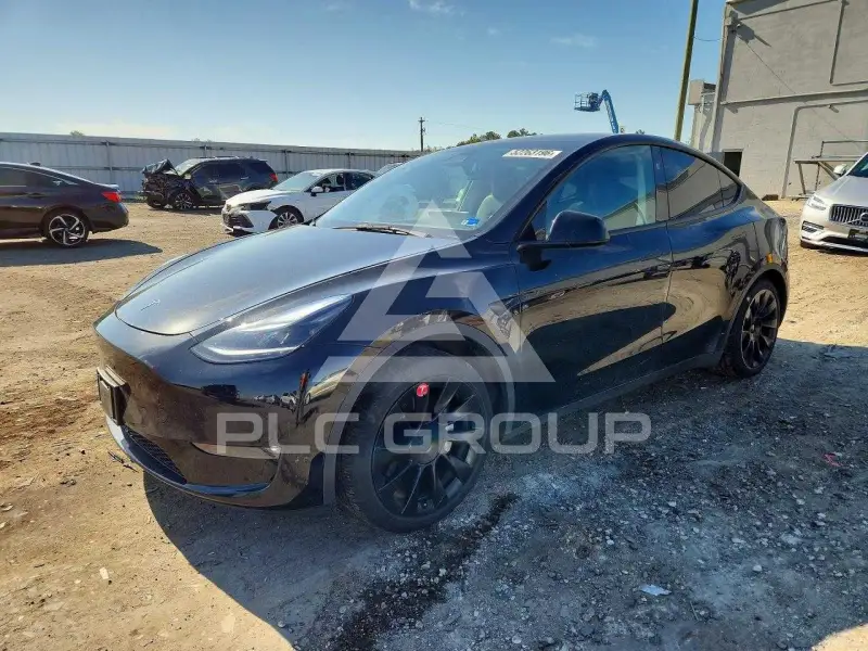 2023 Tesla Model Y фото