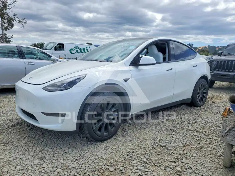 2023 Tesla Model Y photo