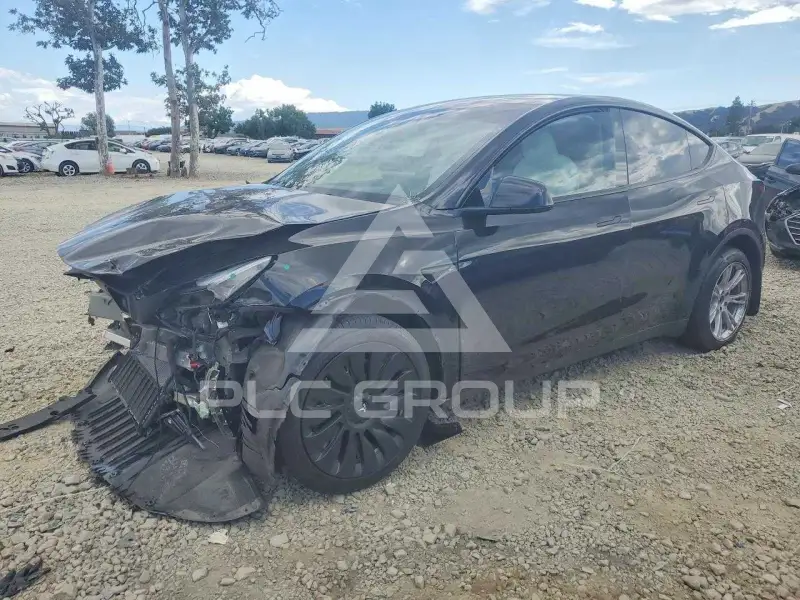 2023 Tesla Model Y photo