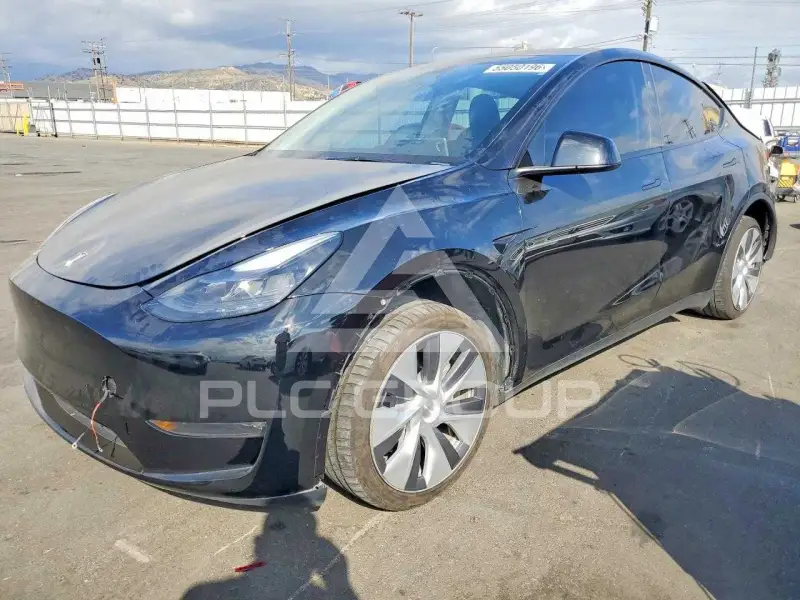 2023 Tesla Model Y photo