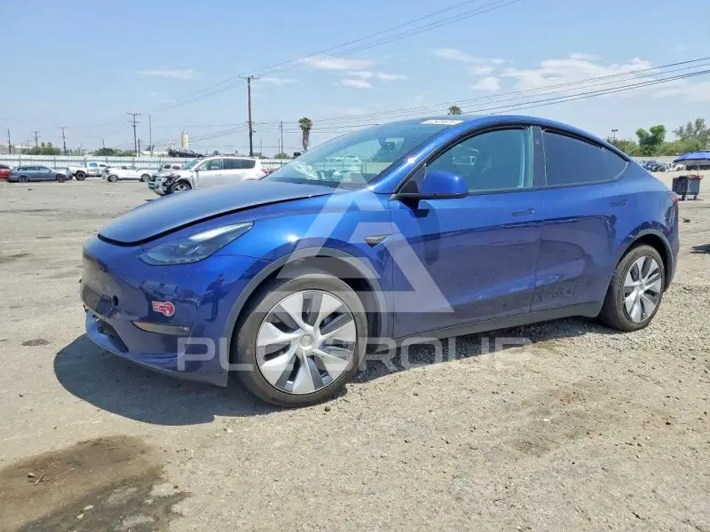 2023 Tesla Model Y photo