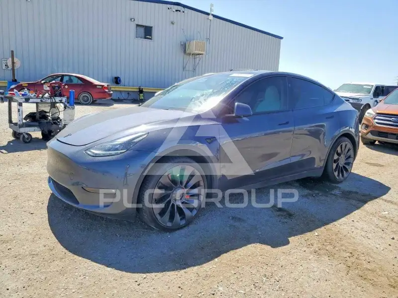 2023 Tesla Model Y фото