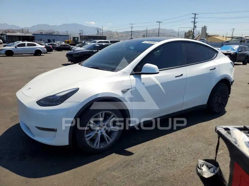 2023 Tesla Model Y фото