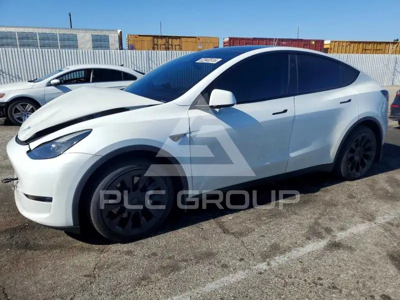 2023 Tesla Model Y photo