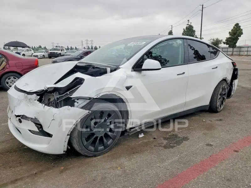 2023 Tesla Model Y фото