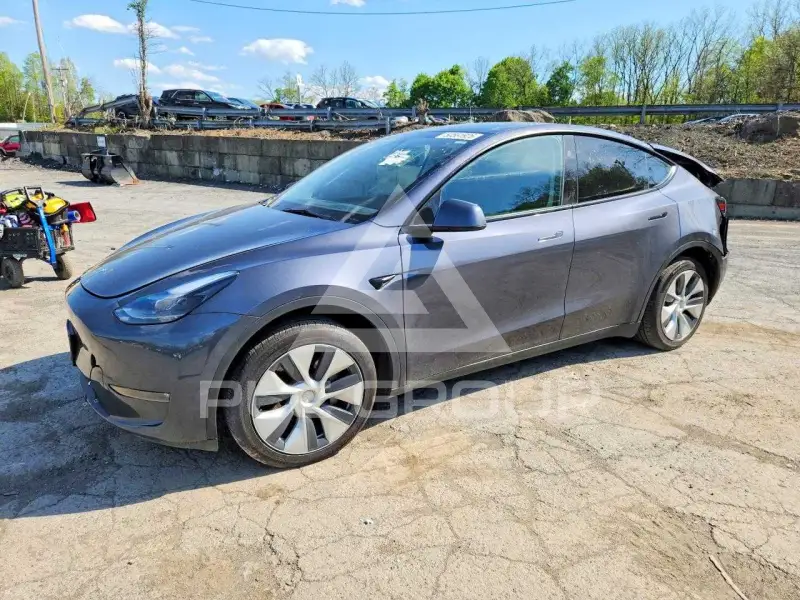 2023 Tesla Model Y фото