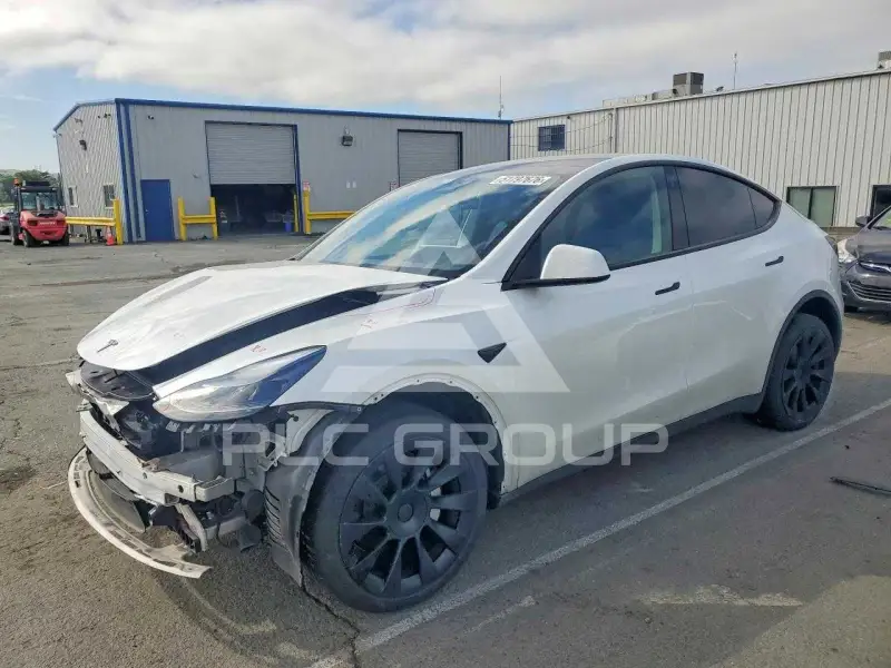 2023 Tesla Model Y photo
